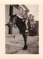 Les enfants sur l'étalon - Oteppe - Années '60